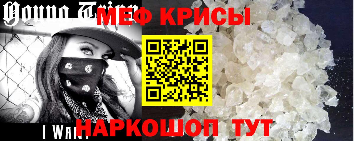 МЕФ  Вологда