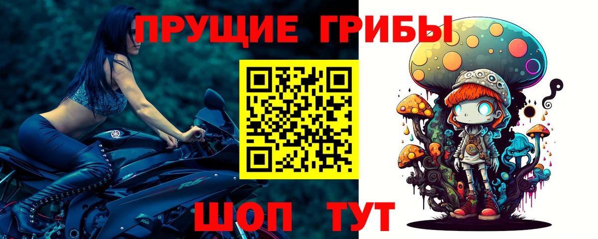 Вологда  Псилоцибиновые грибы прущие грибы  Вход с VPN  Псилоцибиновые грибы Magic Shrooms 