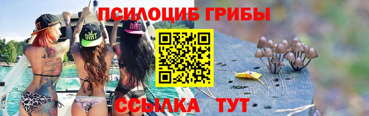 Галлюциногенные грибы GOLDEN TEACHER Вологда